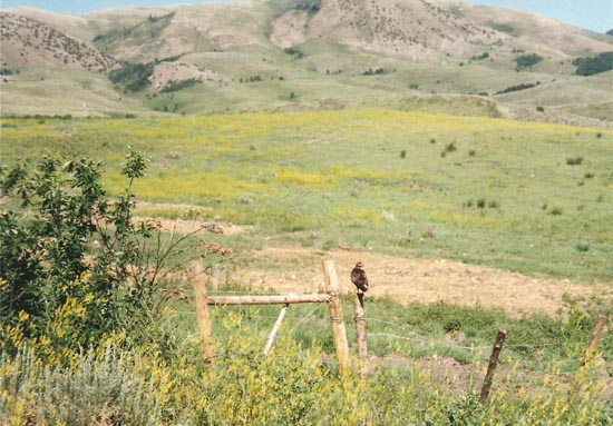 1996 Burnett Family Reunion at the Summit in Malad, ID
